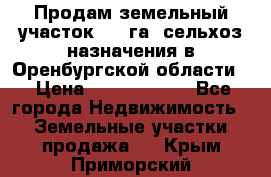 Продам земельный участок 800 га. сельхоз назначения в Оренбургской области. › Цена ­ 20 000 000 - Все города Недвижимость » Земельные участки продажа   . Крым,Приморский
